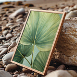 A framed photograph of a large green leaf is displayed on a rocky beach, with the natural elements of the scene providing a serene backdrop.