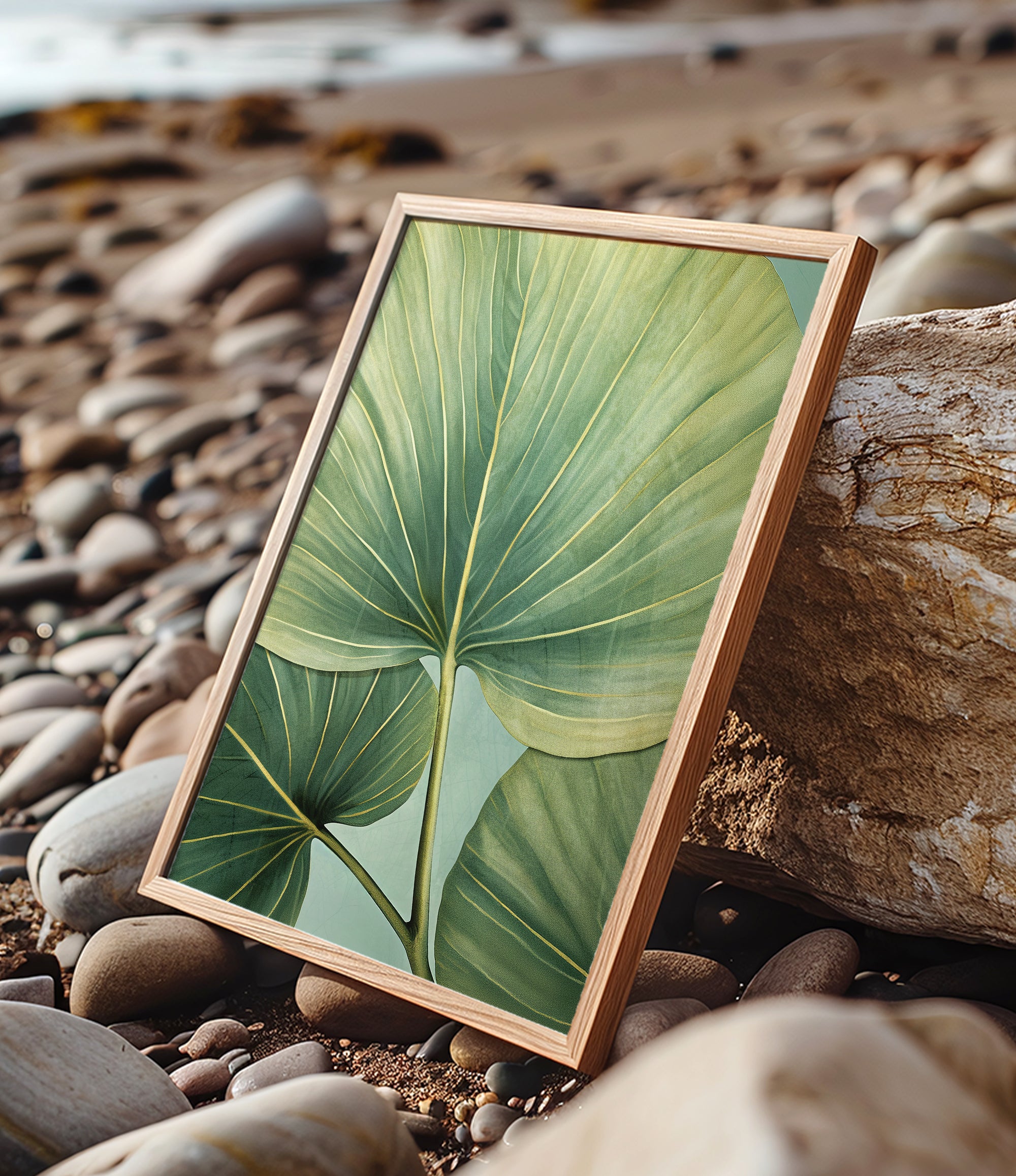 A framed photograph of a large green leaf is displayed on a rocky beach, with the natural elements of the scene providing a serene backdrop.