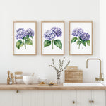 a kitchen counter with three framed watercolor paintings of purple hydrangeas hanging above it. The paintings are arranged in a row, creating a visually appealing display. The kitchen counter also has various items such as bowls, a vase with flowers, and a sink.