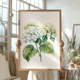 A person is holding up a framed painting of white hydrangea flowers with green leaves in a room with large windows.