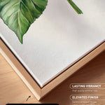 a close-up view of a canvas print with a natural frame, showcasing a vibrant green leaf on a white background.