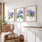 a cozy living room with a wicker chair, a white dresser, and three framed watercolor paintings of purple hydrangeas hanging on the wall.