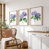 a cozy living room with a wicker chair, a white dresser, and three framed watercolor paintings of purple hydrangeas hanging on the wall.