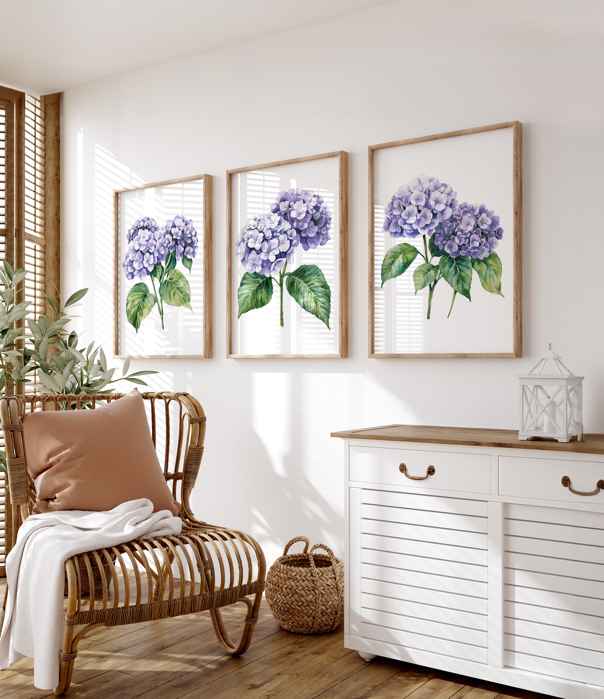a cozy living room with a wicker chair, a white dresser, and three framed watercolor paintings of purple hydrangeas hanging on the wall.