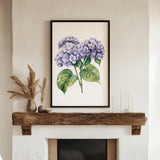 a framed watercolor painting of purple hydrangeas hanging on a white wall above a wooden mantel.