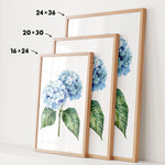 three framed prints of a blue hydrangea flower, each with a different size and frame.
