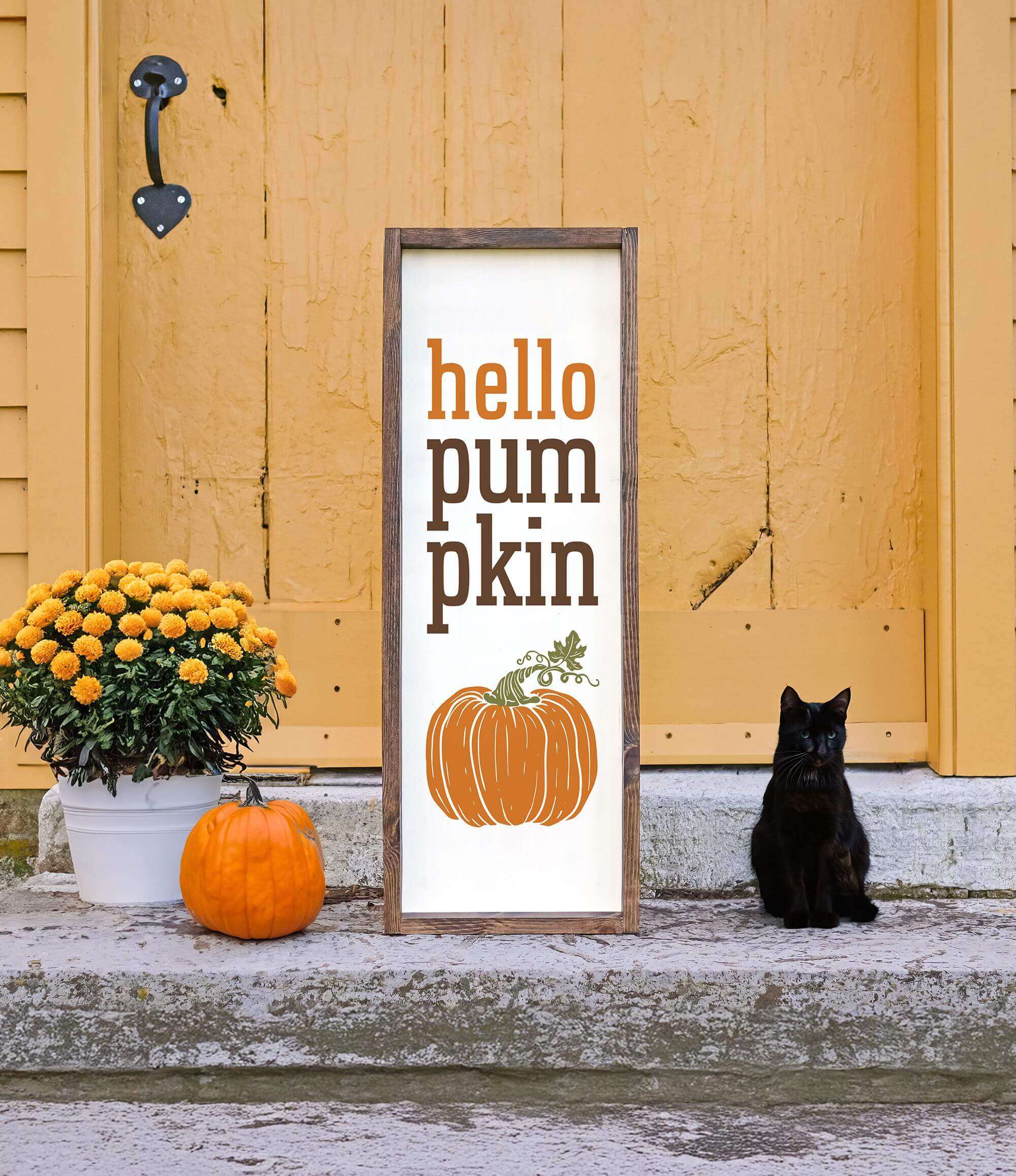 a black cat sitting next to a sign that says hello pumpkin