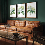 a cozy living room with a brown leather couch, a wooden coffee table, and three framed watercolor paintings of white hydrangeas hanging on the wall above the couch.