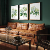 a cozy living room with a brown leather couch, a wooden coffee table, and three framed watercolor paintings of white hydrangeas hanging on the wall above the couch.