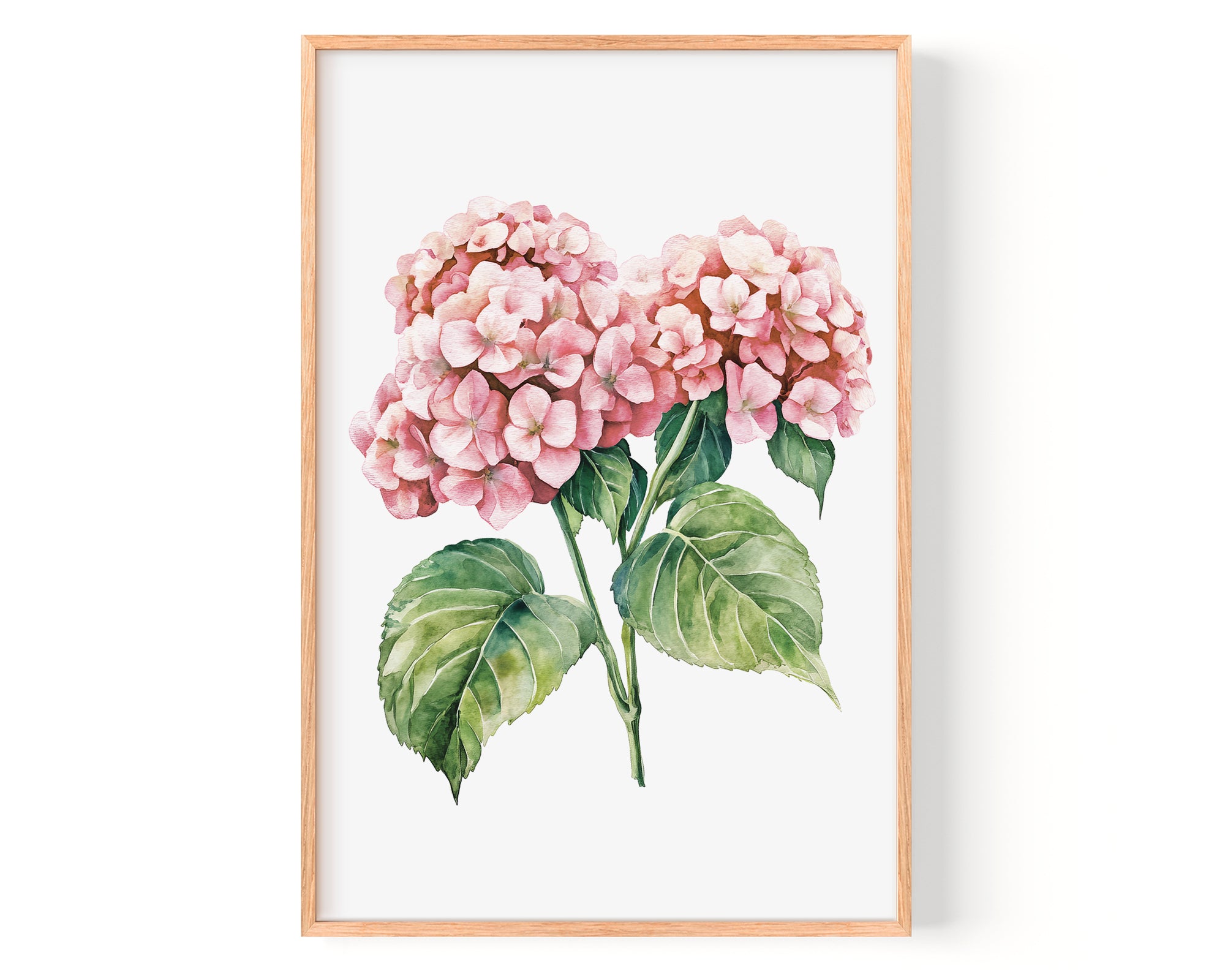 A framed watercolor painting depicting two clusters of pink hydrangea flowers with green leaves.