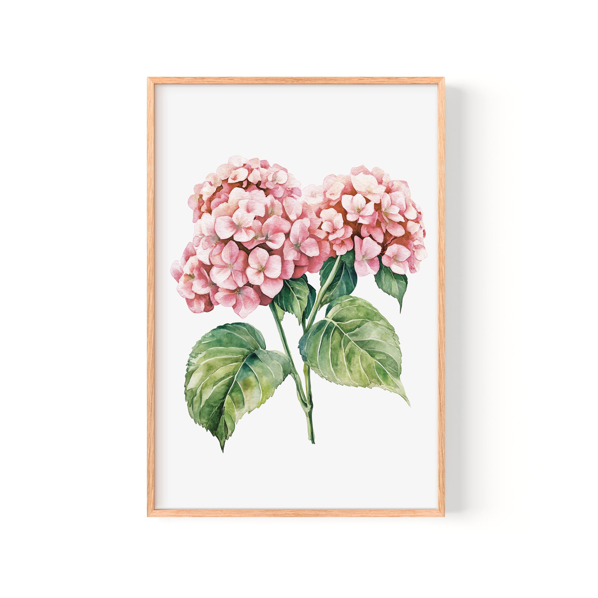 A framed watercolor painting depicting two clusters of pink hydrangea flowers with green leaves.