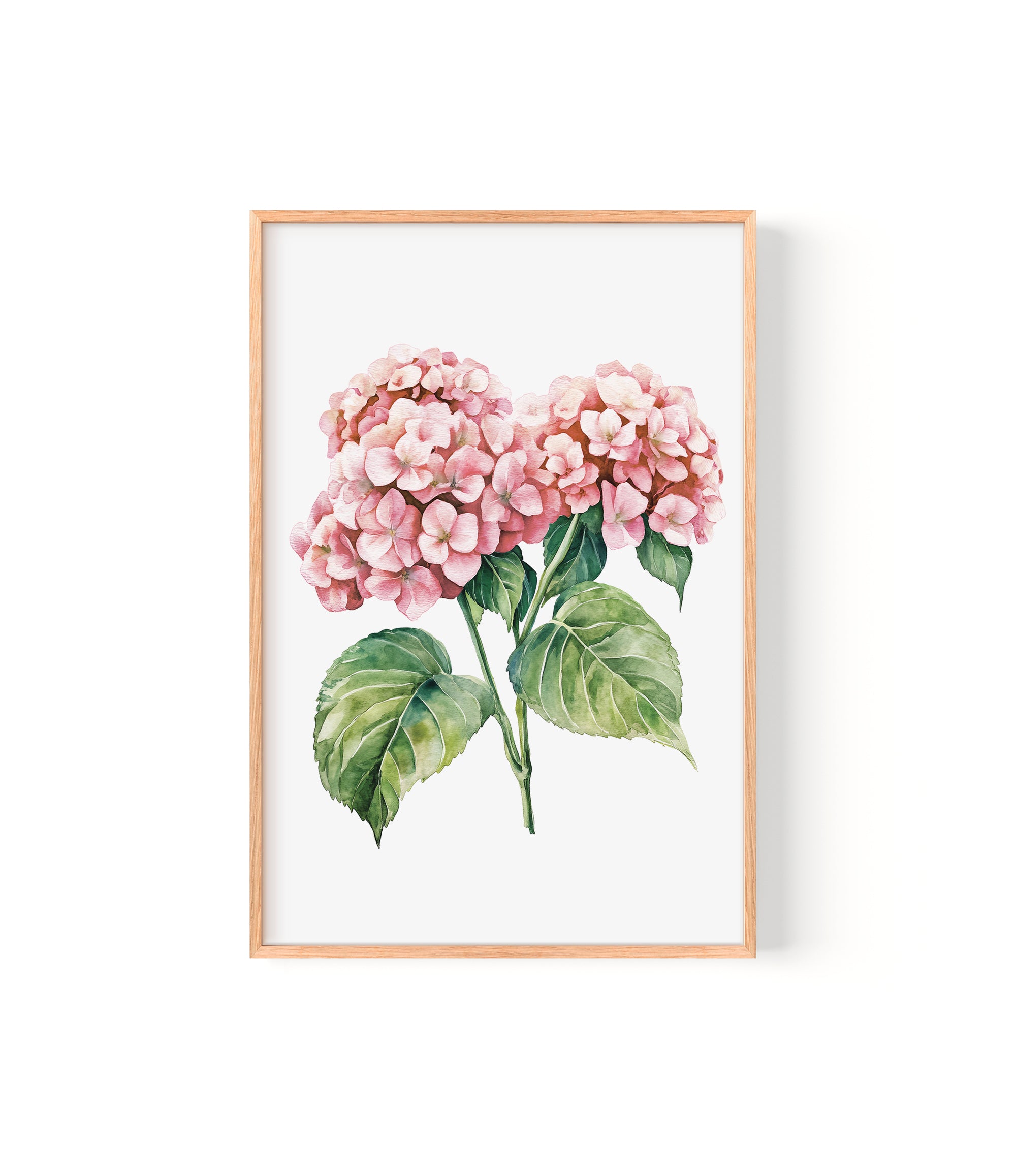 A framed watercolor painting depicting two clusters of pink hydrangea flowers with green leaves.