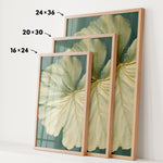 three framed pictures of large, leafy plant leaves, each with a different size and frame. The largest frame is 24 x 36 inches, the medium frame is 20 x 30 inches, and the smallest frame is 16 x 24 inches. The frames are arranged in a row, with the largest frame on the left, the medium frame in the middle, and the smallest frame on the right.