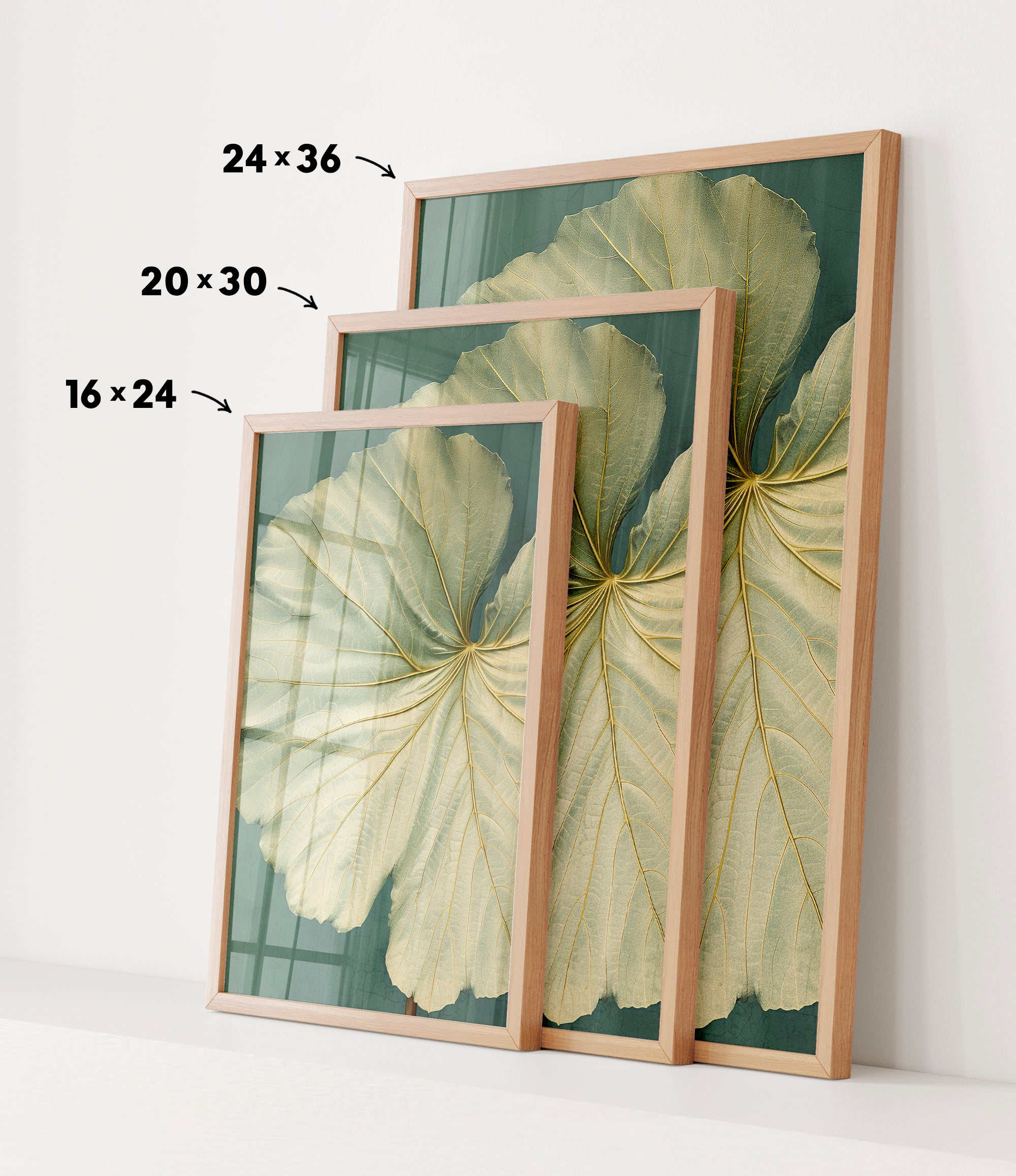 three framed pictures of large, leafy plant leaves, each with a different size and frame. The largest frame is 24 x 36 inches, the medium frame is 20 x 30 inches, and the smallest frame is 16 x 24 inches. The frames are arranged in a row, with the largest frame on the left, the medium frame in the middle, and the smallest frame on the right.