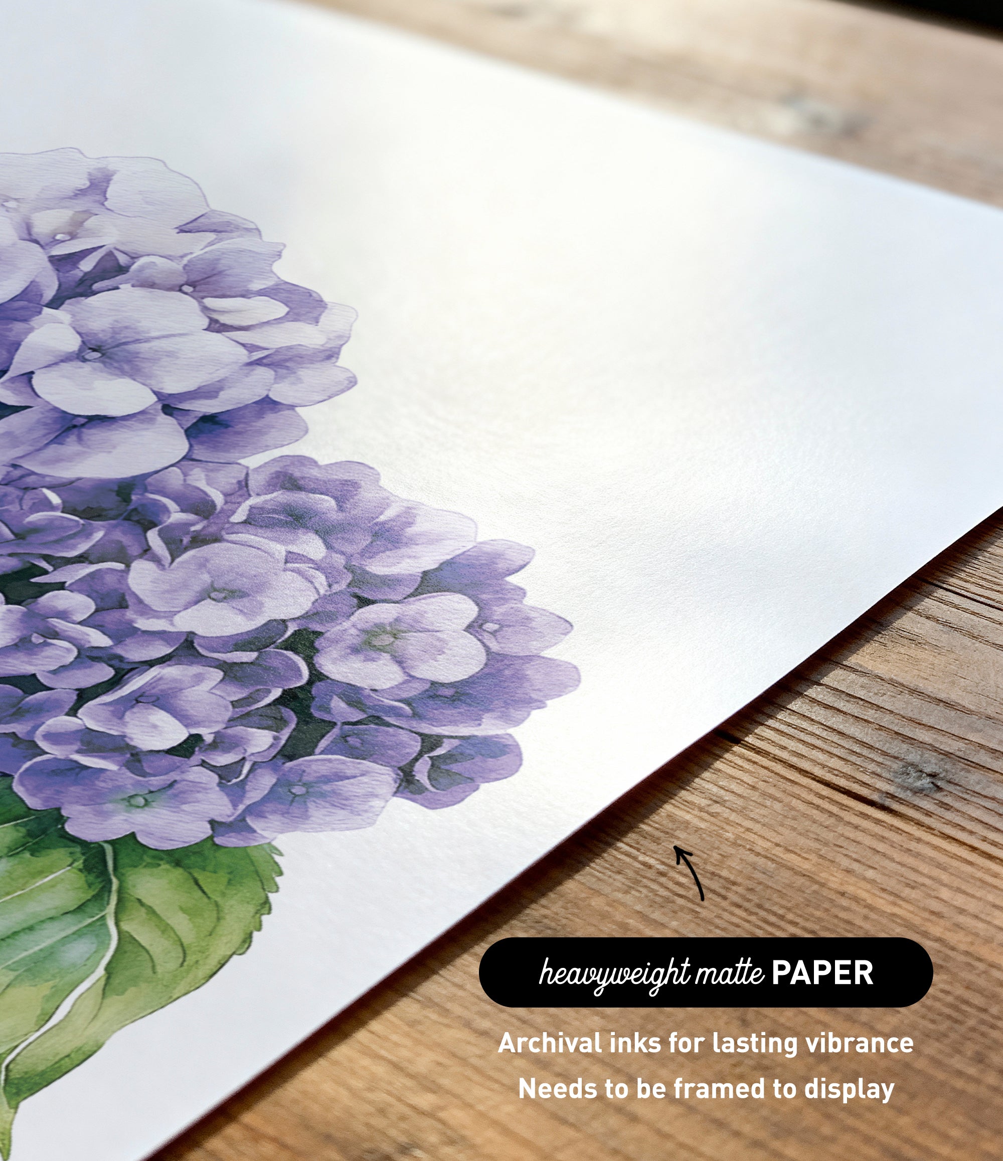 a close-up view of a piece of paper with a detailed illustration of a cluster of purple hydrangea flowers.
