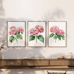 three framed watercolor paintings of pink hydrangeas hanging on a wall above a wooden shelf.