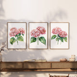 three framed watercolor paintings of pink hydrangeas hanging on a wall above a wooden shelf.