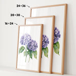 three framed prints of a watercolor painting of purple hydrangeas, each with a different size and frame.