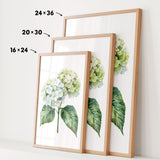 three framed prints of a watercolor painting of a hydrangea flower, each with a different size and frame.