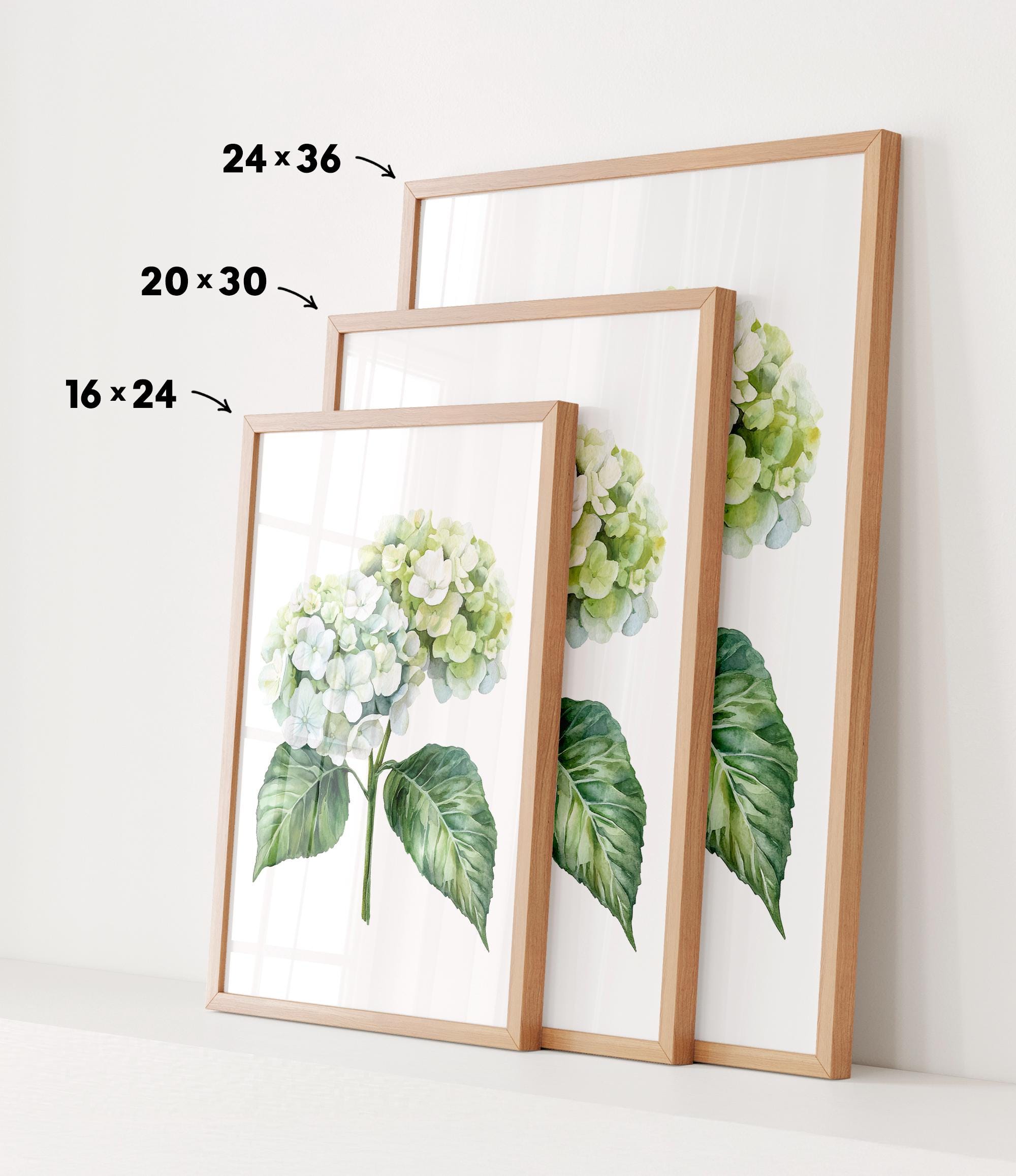 three framed prints of a watercolor painting of a hydrangea flower, each with a different size and frame.