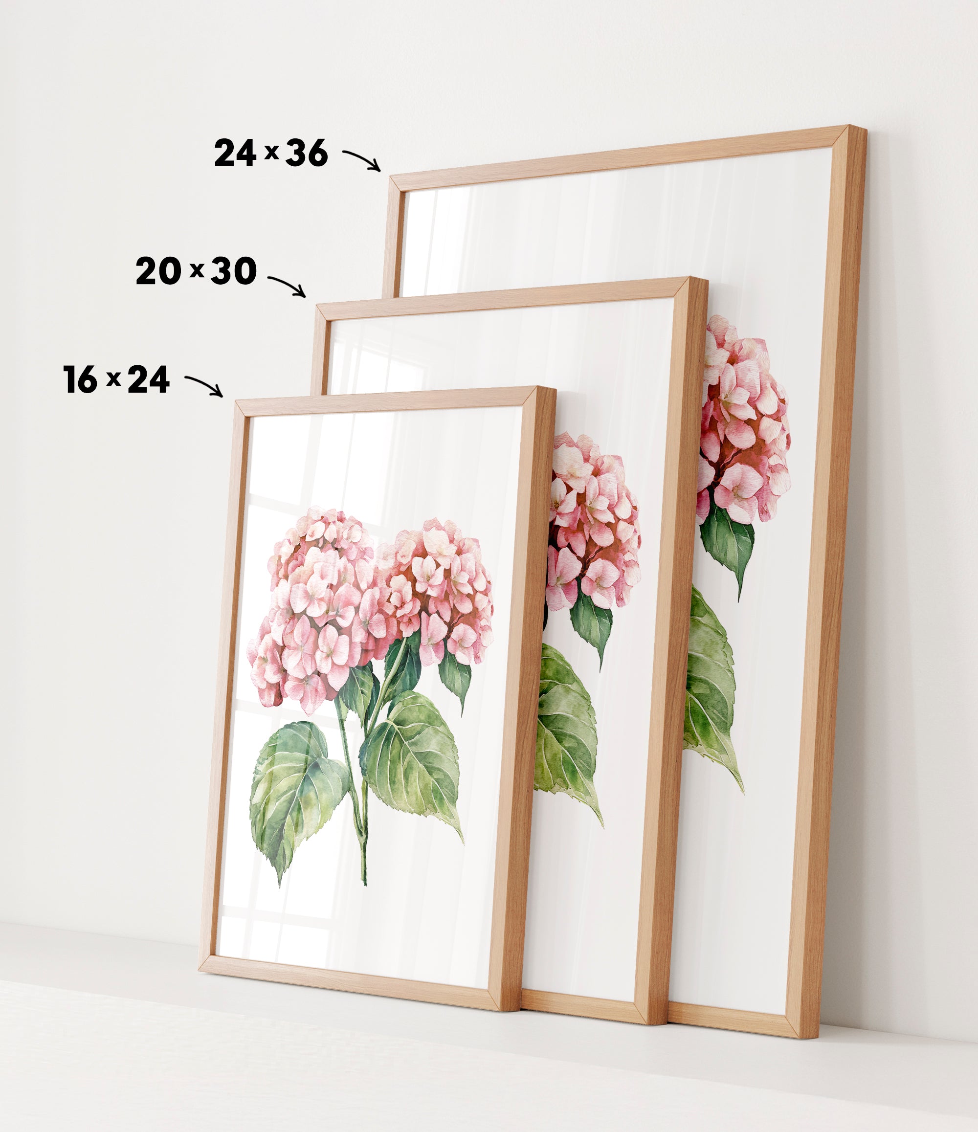 three framed prints of a floral design, each with a different size and frame. The prints are arranged in a row, with the largest print on the left, the medium-sized print in the middle, and the smallest print on the right. The prints are framed with wooden borders, and the sizes of the prints are indicated by the numbers 24, 36, and 16 on the left, 20, 30, and 24 on the middle, and 16, 24, and 30 on the right.
