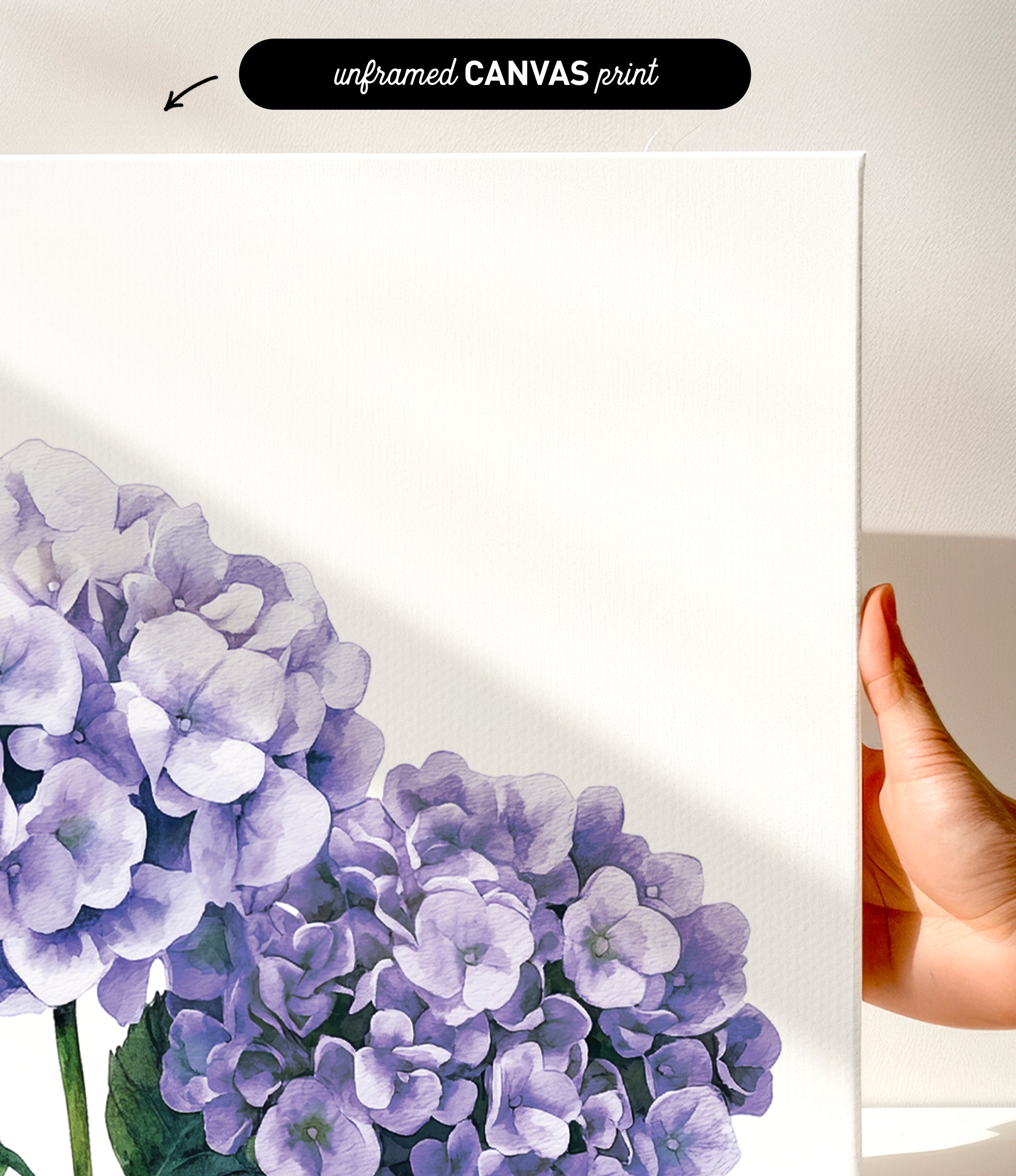 a hand holding a white canvas print of a watercolor painting of purple hydrangeas.