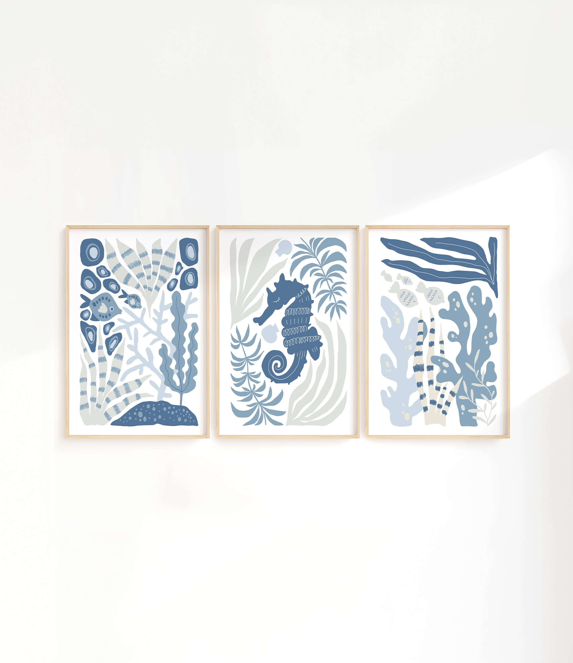 three framed pictures of sea animals on a wall