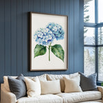 a large framed print of a blue hydrangea flower hanging on a blue wall above a white couch with gray and beige throw pillows.