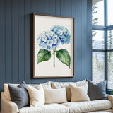 a large framed print of a blue hydrangea flower hanging on a blue wall above a white couch with gray and beige throw pillows.