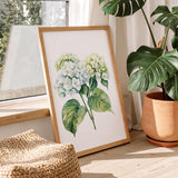 a framed watercolor painting of white hydrangea flowers on a wooden surface, with a potted plant and a woven ottoman in the background.
