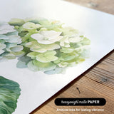 a close-up view of a watercolor painting of a cluster of white hydrangea flowers on a white background.