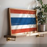 a picture of a flag on a shelf next to a potted plant
