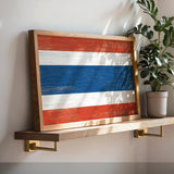 a picture of a flag on a shelf next to a potted plant