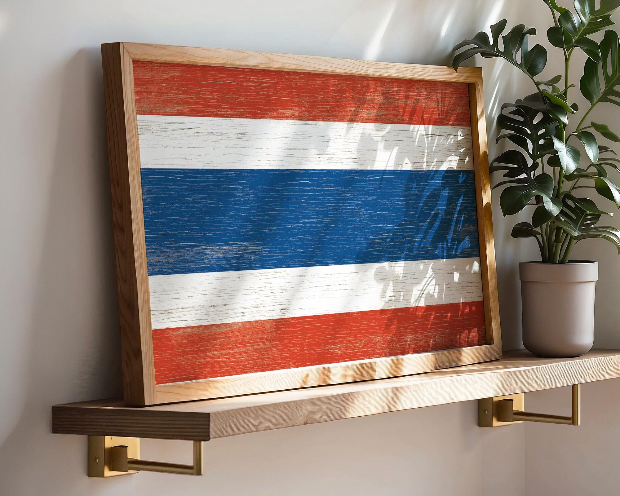 a picture of a flag on a shelf next to a potted plant