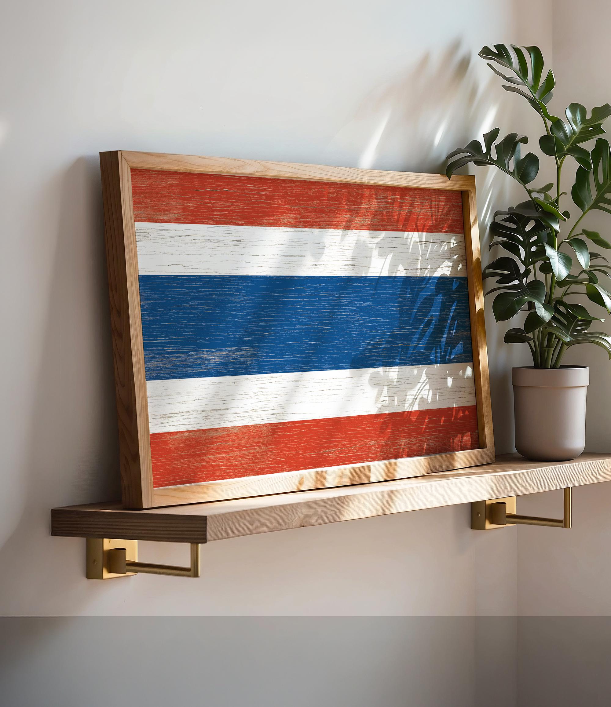 a picture of a flag on a shelf next to a potted plant