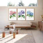 a modern living room with a glass coffee table, a wooden bench, and three framed watercolor paintings of different colored hydrangeas hanging on the wall above the bench.