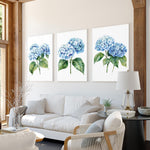 a cozy living room with a white sofa, a wooden coffee table, and three framed paintings of blue hydrangeas on the wall.