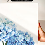a hand holding a white canvas print of a watercolor painting of blue hydrangea flowers.