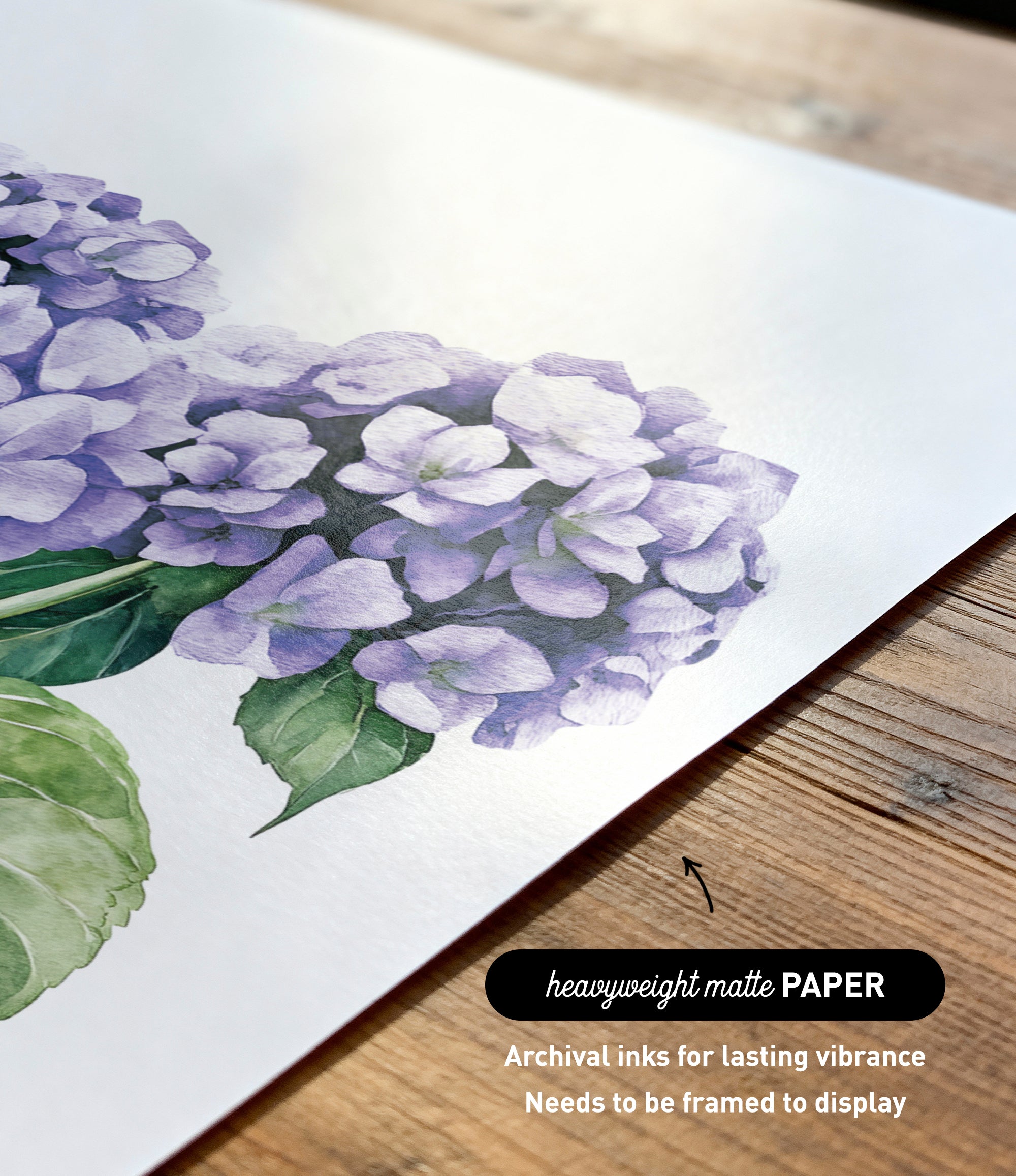 a close-up view of a watercolor painting of purple hydrangea flowers on a white background.