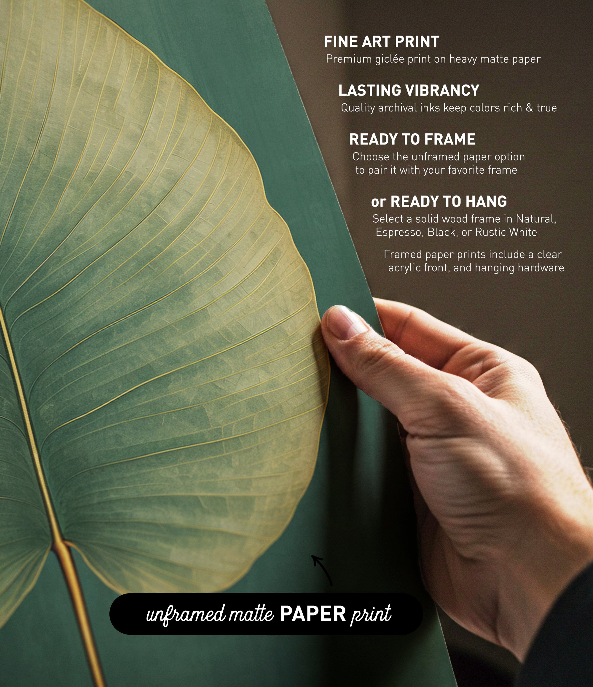 a hand holding a leaf, with text providing information about the paper print options available.