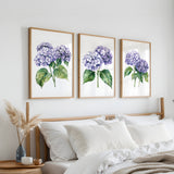 a bedroom with a bed, white pillows, and a wooden headboard. Above the bed, there are three framed watercolor paintings of purple hydrangeas hanging on the wall.
