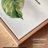 a close-up view of a watercolor painting of a green leaf on a white background.