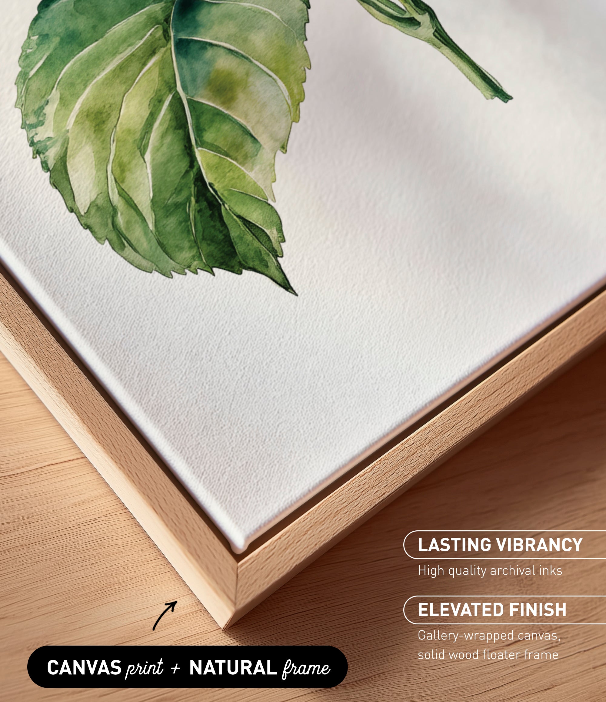a close-up view of a watercolor painting of a green leaf on a white background.