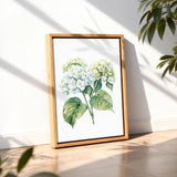 A framed watercolor painting of white hydrangea flowers is displayed on a wooden floor against a white wall, with a plant visible in the background.
