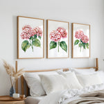 a bedroom with a bed, white pillows, and a wooden headboard. Above the bed, there are three framed watercolor paintings of pink hydrangeas hanging on the wall.