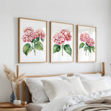 a bedroom with a bed, white pillows, and a wooden headboard. Above the bed, there are three framed watercolor paintings of pink hydrangeas hanging on the wall.