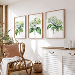 a cozy living room with a wicker chair, a white dresser, and three framed watercolor paintings of green hydrangeas on the wall.