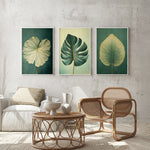 a cozy living room with a wicker chair, a coffee table, and three framed botanical leaf art pieces on the wall.
