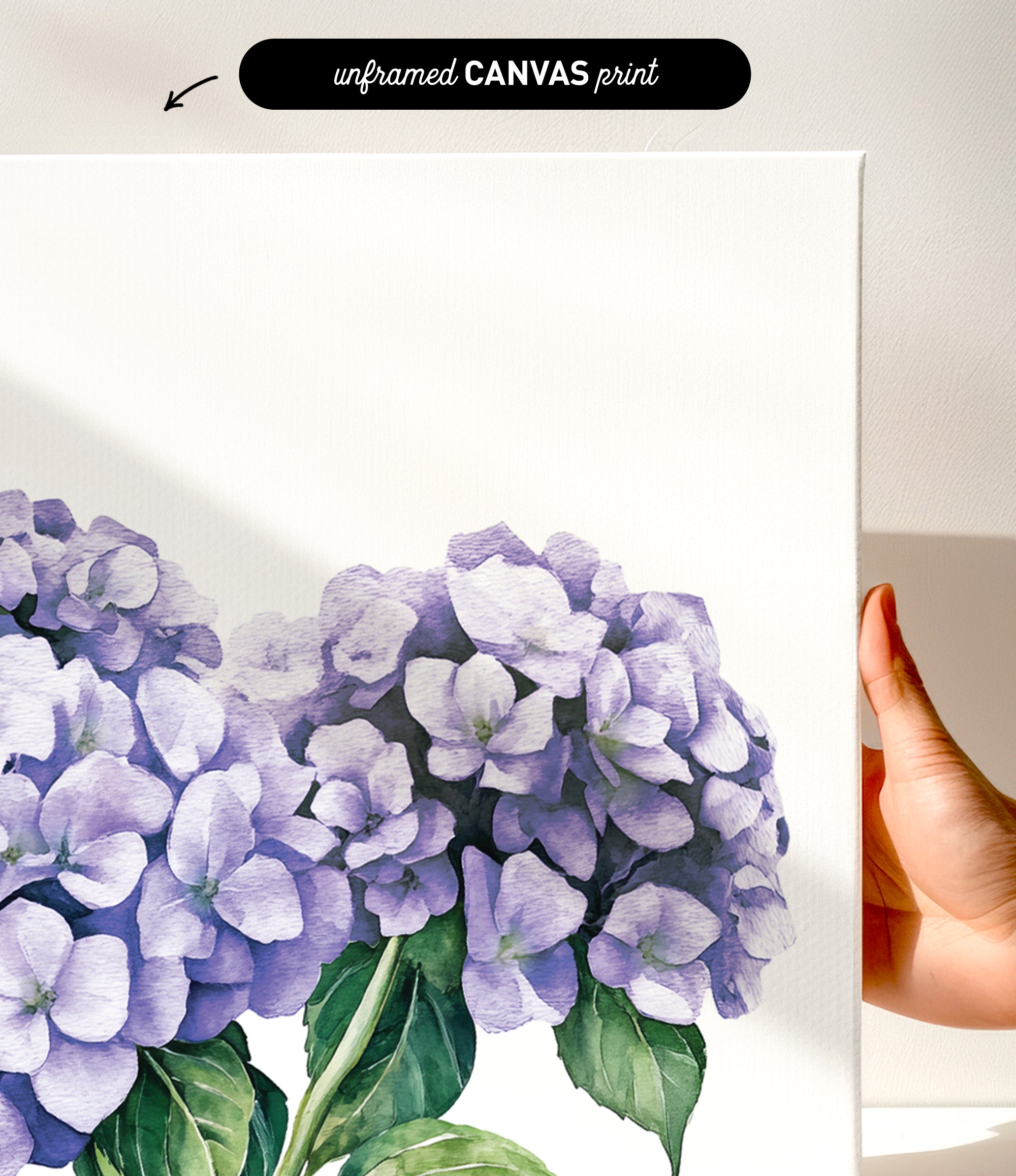 a hand holding a white canvas print of a painting of purple hydrangea flowers.