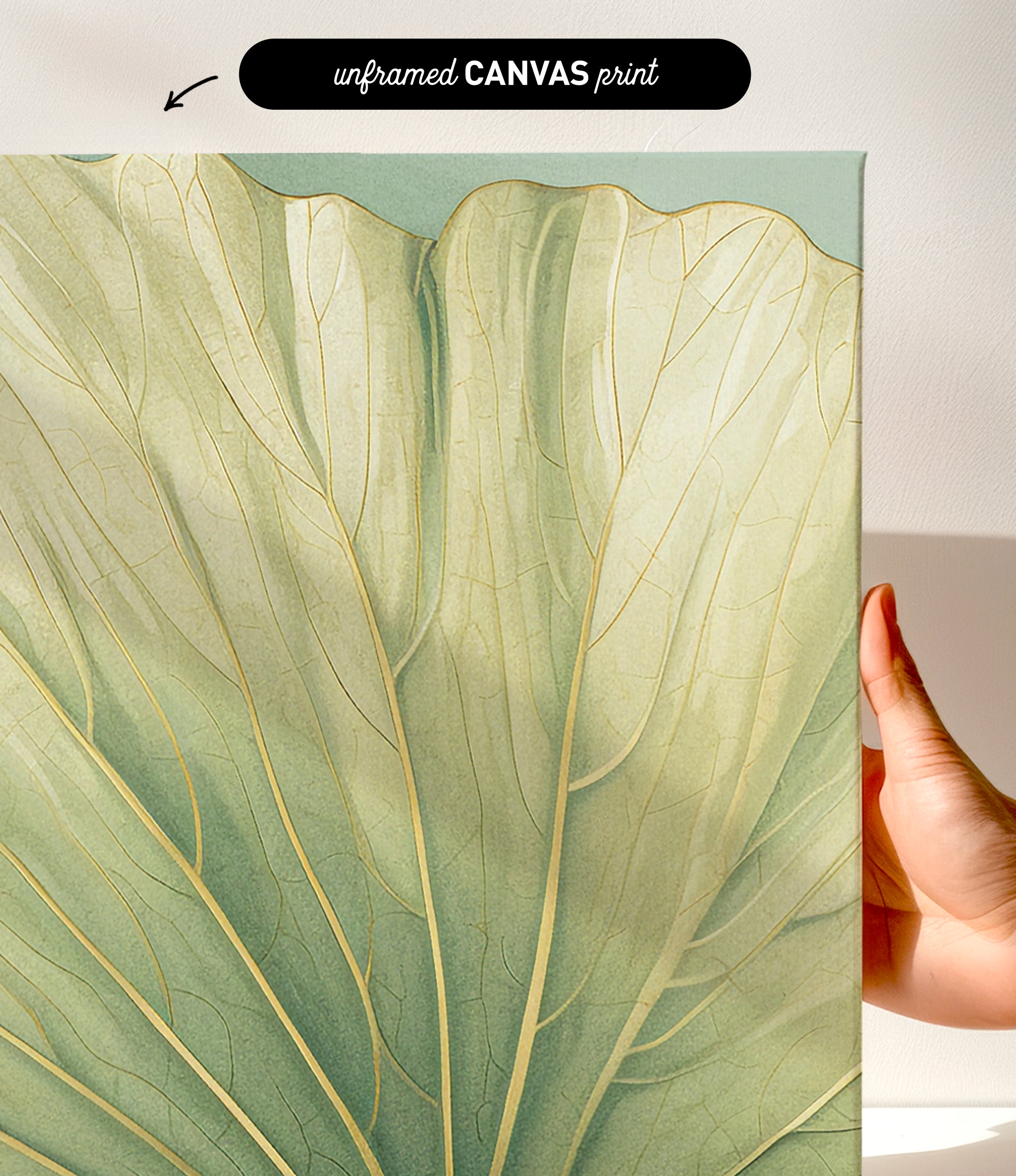 a close-up view of a leaf with intricate patterns and textures, held up against a white background.